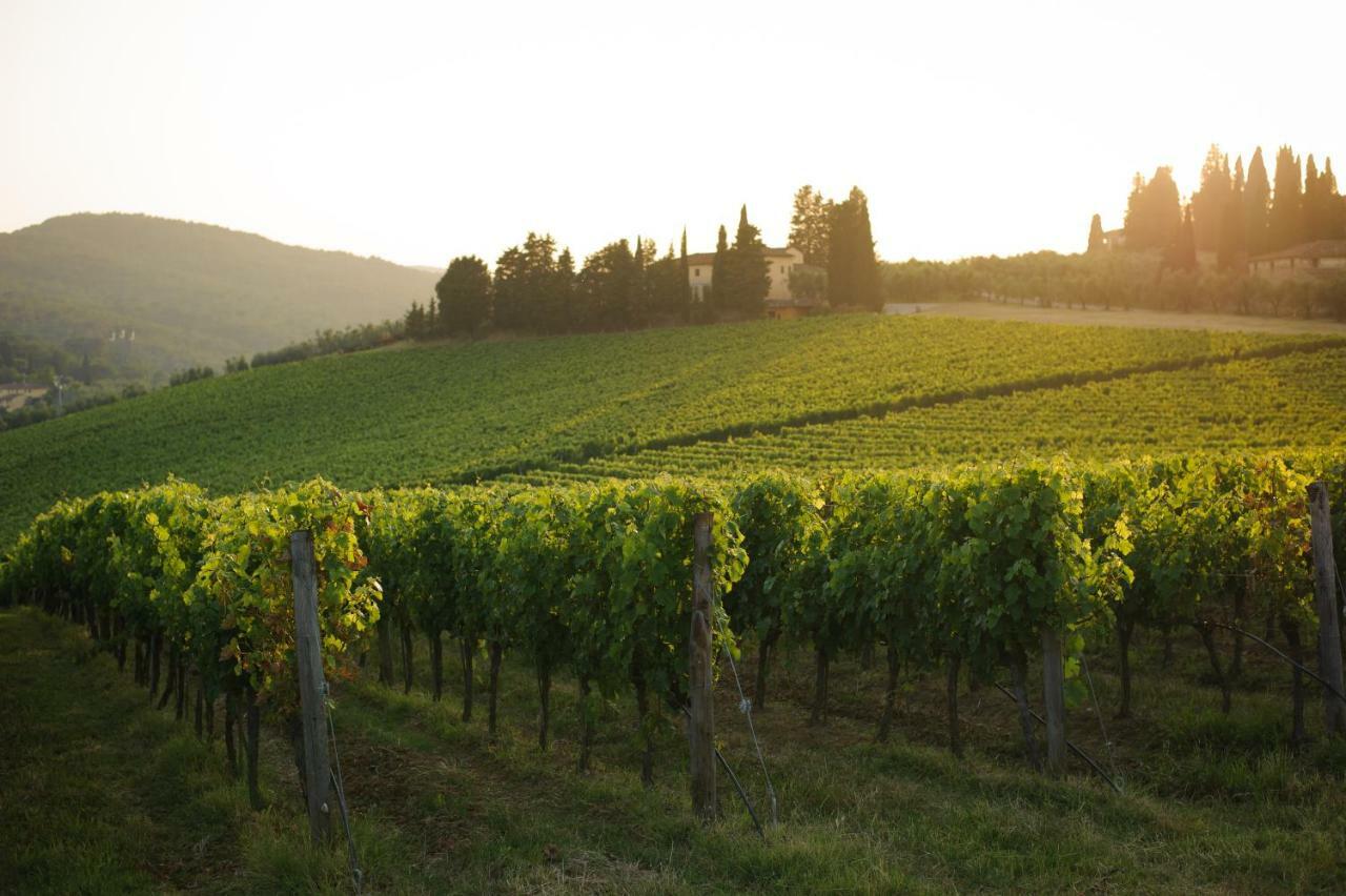 Chiantivillas Villa Torricella, 27 Tavarnuzze ภายนอก รูปภาพ